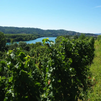 Séjour en amoureux au cœur des vignobles de la Côte-Rôtie