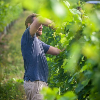 Rencontre avec un vigneron biodynamiste à Saumur-Champigny