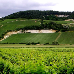 Coffret week-end en Champagne