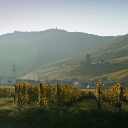 Cadeau dégustation sur la route d'Alsace
