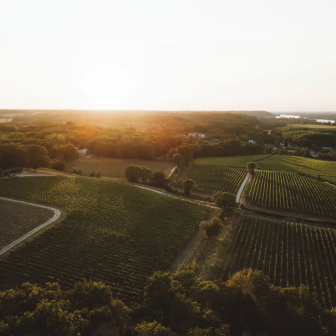 Découverte des appellations de la Vallée de la Loire