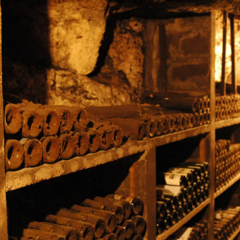 Découverte des secrets de fabrication des vins de Loire