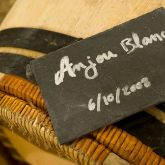 Dégustation de vins blancs d'Anjou en Val de Loire