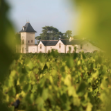 Visites de domaines viticoles en Anjou