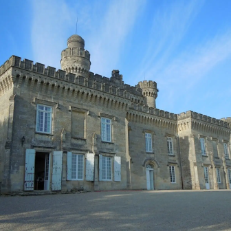 Expérience œnologique dans le bordelais