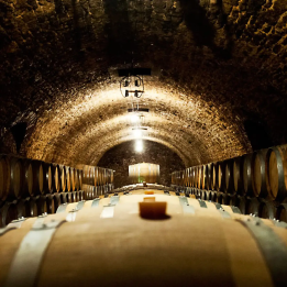 Dégustations de Champagnes d'exception