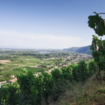 Week-end au coeur des vignes de l'Hermitage en Vallée du Rhône
