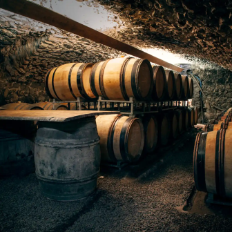 Visite d'une propriété viticole autour d'Hermitage