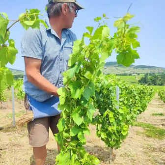 Vigneron dans les vignes du Beaujolais pendant un week-end viticole à Brouilly