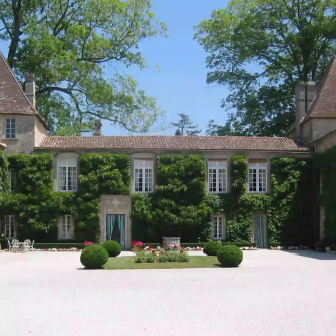 Séjour viticole dans les Graves