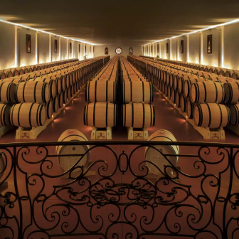 Séjour autour des vins de Graves