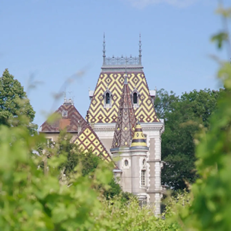Séjour viticole Beaune en amoureux