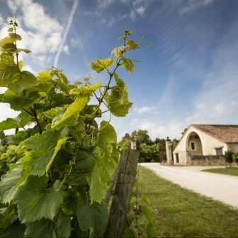 Escapade romantique dans les vignobles près de Cahors
