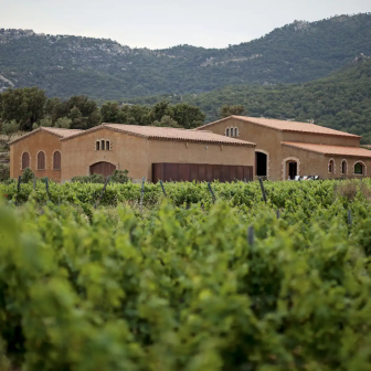 Week-end oenologique en région catalane
