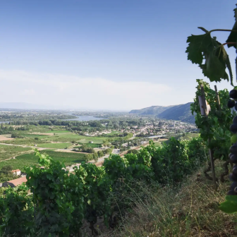 Week-end au coeur des vignes de la Vallée du Rhône