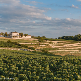 Journée Saint-Emilion et Pomerol