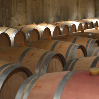 Visites domaines à St-Emilion et Pomerol