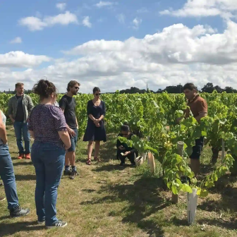 Découverte du vignoble nantais