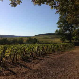 Séjour bio et vélo en Bourgogne