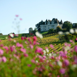 Visite des vignobles bergeracois