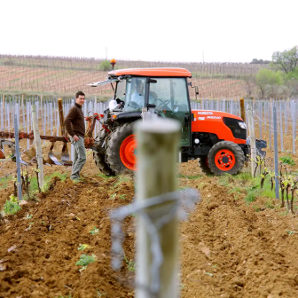 Séjour découverte des vignobles du Languedoc-Roussillon