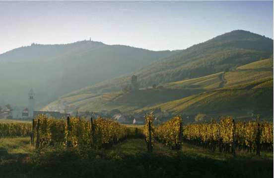 Cadeau dégustation Route d'Alsace
