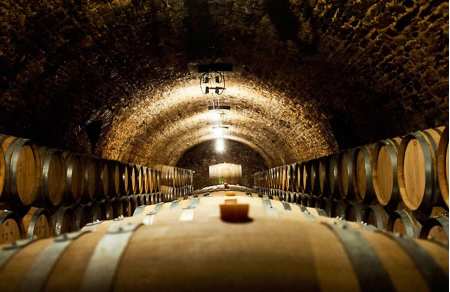 Dégustations de Champagnes d'exception