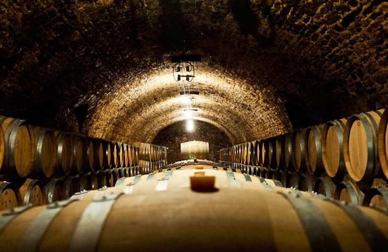 Dégustations de Champagnes d'exception