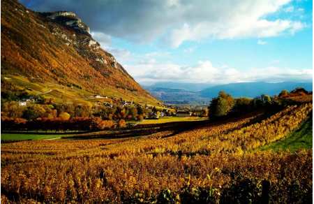 Séjour viticole Chambéry