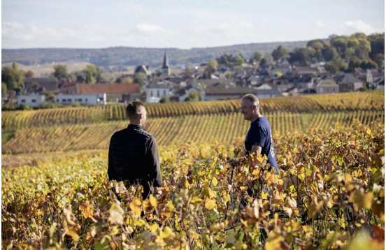 Séjour dégustation de champagnes biologiques