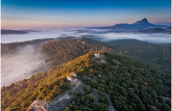 Week-end oenologique Pic Saint-Loup