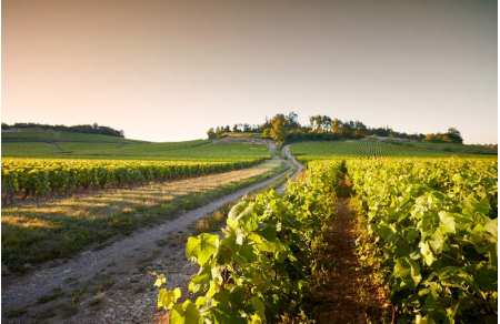 Week-end oenologique Côte chalonnaise