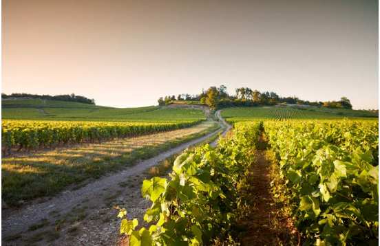 Week-end oenologique Côte chalonnaise