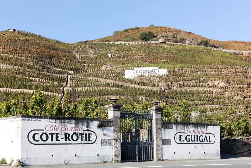 Tout savoir sur l’appellation Côte-Rôtie