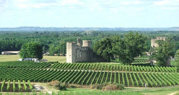 Découvrir le vignoble des Graves et ses vins