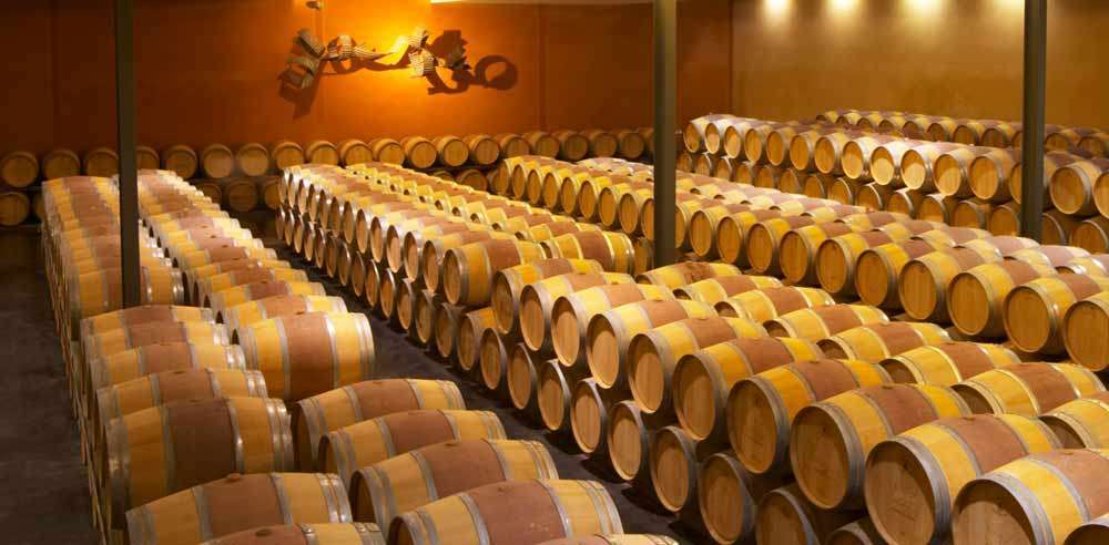 Visites de caves autour de Bordeaux, notre sélection
