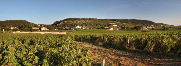 Route des vins en Côte de Nuits