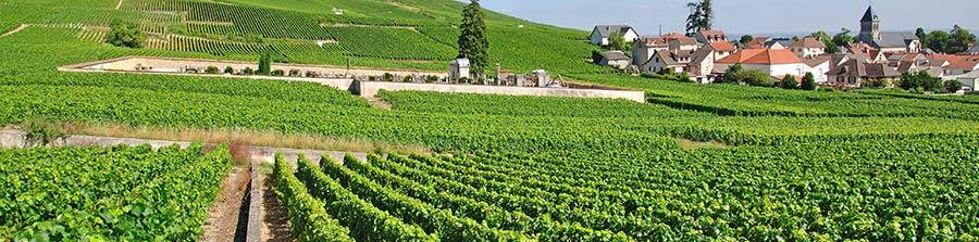 Route des vins en Côte de Beaune