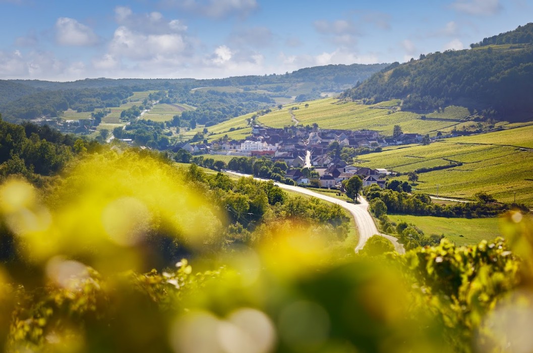 Les itinéraires sur la route des vins de Bourgogne