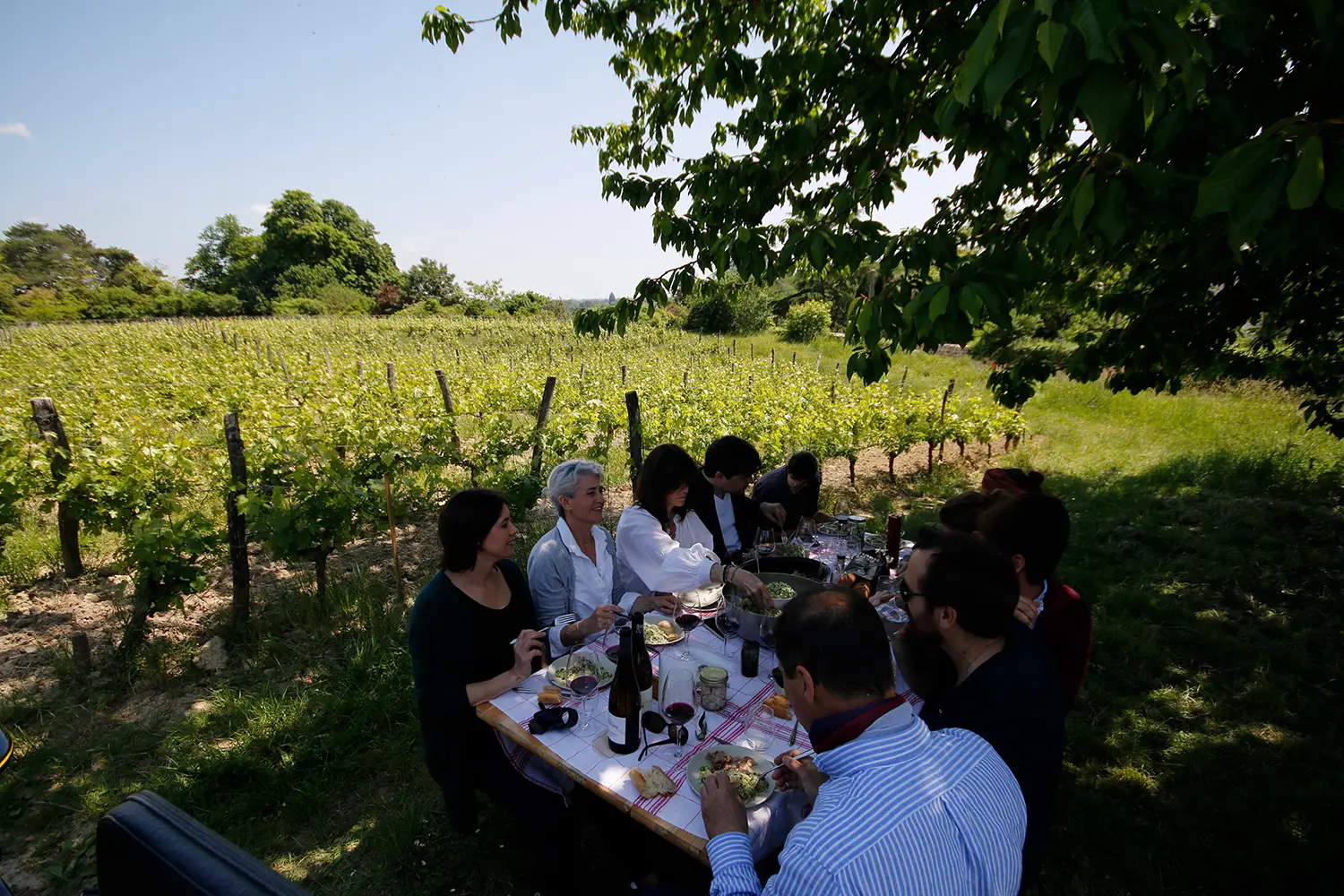Les accords mets et vins : trouver le bon équilibre et plus encore
