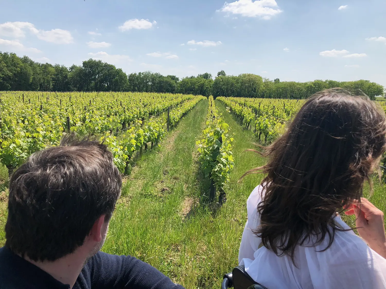Découvrez ce qui fait l’âme des vignobles en visitant des domaines et des châteaux
