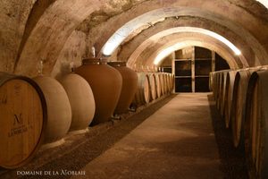 Caves du Domaine de la Noblaie dans le vignoble de Chinon