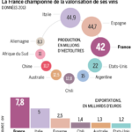 L’avenir de la viticulture française en question