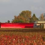 La Dominique vignoble Bordeaux