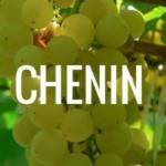 Déguster du chenin