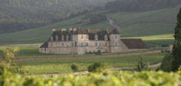 Bourgogne, les plus beaux vignobles