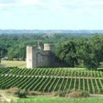 Découvrir le vignoble des Graves et ses vins