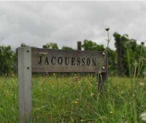 Vignes - Domaine Jacquesson