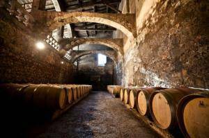 Chateau du Taillan - caves voutées