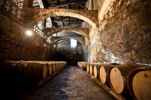 Chateau du Taillan - caves voutées